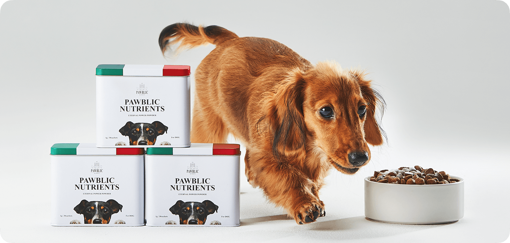 Pet Care Nutrition Valuing Communion and Communication